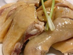 -巫记鸡饭店