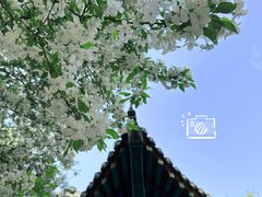 -隆兴寺