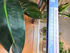 -隆延茶铺(学清路驹然店)