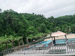-广东惠东海龟国家级自然保护区