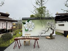 -打酱油·非遗淮扬菜(瘦西湖梅岭老店)
