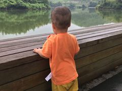 -宁波九龙湖开元度假村