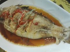 -玉泉酱羊骨饭庄(青吉里店)