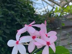 -北京植物园-展览温室