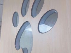 -宠颐生宠物医院外科·内科·皮肤科·影像科(石龙店)