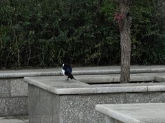 -成吉思汗公园