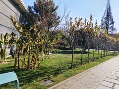 -南通博物苑-崇川人民公园