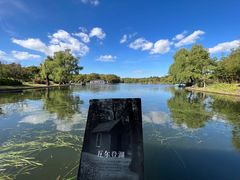 -上海共青森林公园