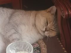 -不舍昼夜咖啡馆