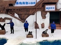 -秦皇岛乐岛海洋王国