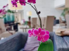 -天津海河悦榕庄·Lobby Lounge大堂吧