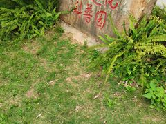 -东莞植物园