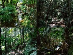 -素山寺森林公园