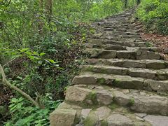 -宁波五龙潭景区