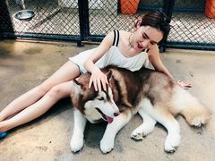 -TrueLove @ Neverland (Husky Cafe)