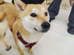 -凯德广场(武胜路店)