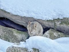 -终南山南五台景区
