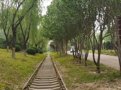 -永定河休闲森林公园