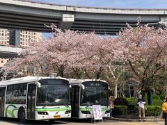 -南浦大桥长途旅游客运站