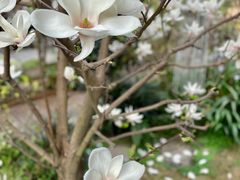 -三圣花乡旅游区