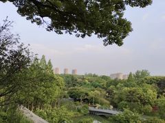 -青枫公园