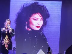 -邓丽君音乐主题餐厅