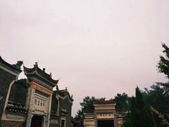 -洪湖生态旅游区