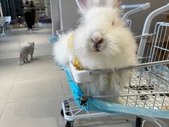 -怪兽屋·羊驼·猫咖·狗咖(俊华广场店)