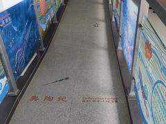 -中国第四纪冰川遗迹陈列馆