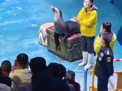 -烟台海昌鲸鲨海洋公园