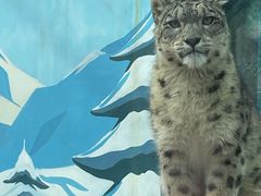 -青藏高原野生动物园