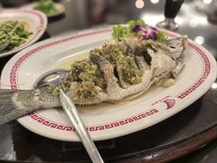 -中国城银都鱼翅酒楼