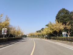 -南京科技馆