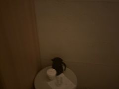 -舒小悦·舒养SPA·古法推拿(光环中心店)