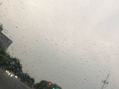 -紫荆广场·花漫里