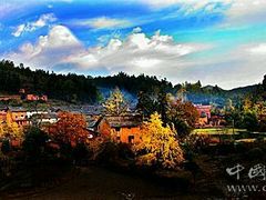 -南雄冯屋银杏山庄