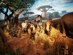 -陕西自然博物馆