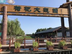 -白洋淀景区