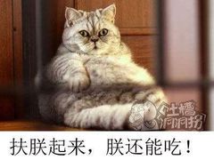 -李师傅脆肚(梅林店)