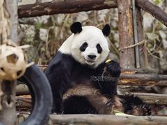 -泉州海丝野生动物世界
