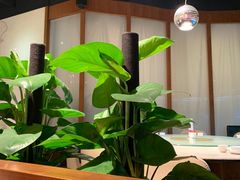 -川味里•商务宴请•团建聚餐(清湖店)