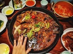 -老板恋上鱼(高新万达店)