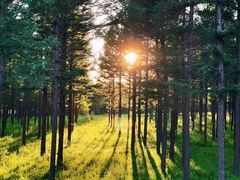 -塞罕坝国家级自然保护区