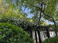 -汇龙潭