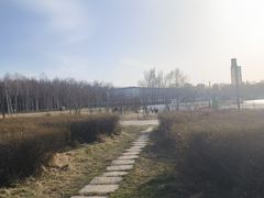 -长春市南湖公园