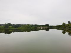 -东郊湿地公园