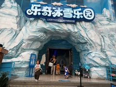 -海合安成都极地海洋公园