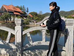 -大屏嶂森林公园