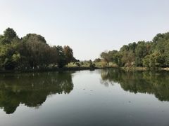-邓小平故里