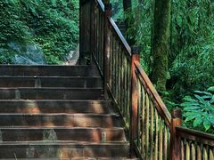 -瓦屋山景区